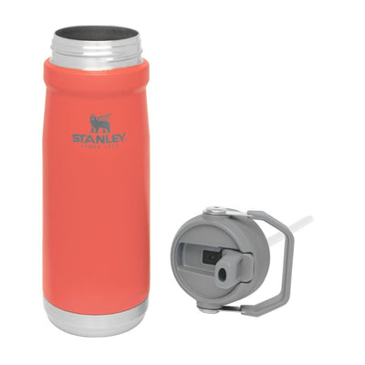 BOTELLA STANLEY FLIP STRAW BOTELLA 650 ML