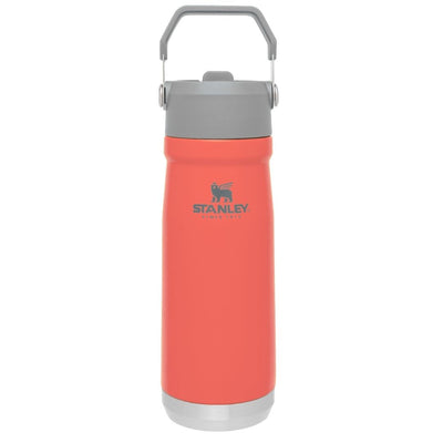 BOTELLA STANLEY FLIP STRAW BOTELLA 650 ML