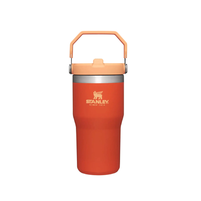 BOTELLA STANLEY FLIP STRAW TUMBLER 591ML
