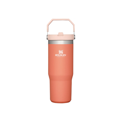BOTELLA STANLEY FLIP STRAW TUMBLER 887 ML